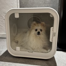 70L 저소음 펫 드라이 룸